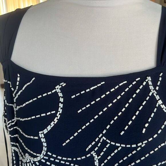 Joanna Hope Navy with White Hand Beading Sheer with lining Gown SZ 18 - Picture 2 of 13